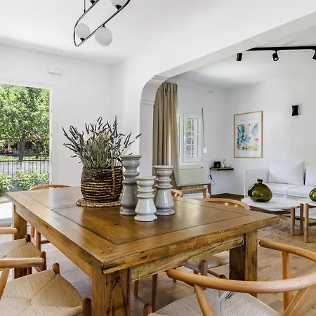 Villa Forest View Skopelos Neo Klima